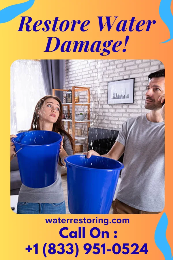 water restoration Rapid Extraction Pros Grafton